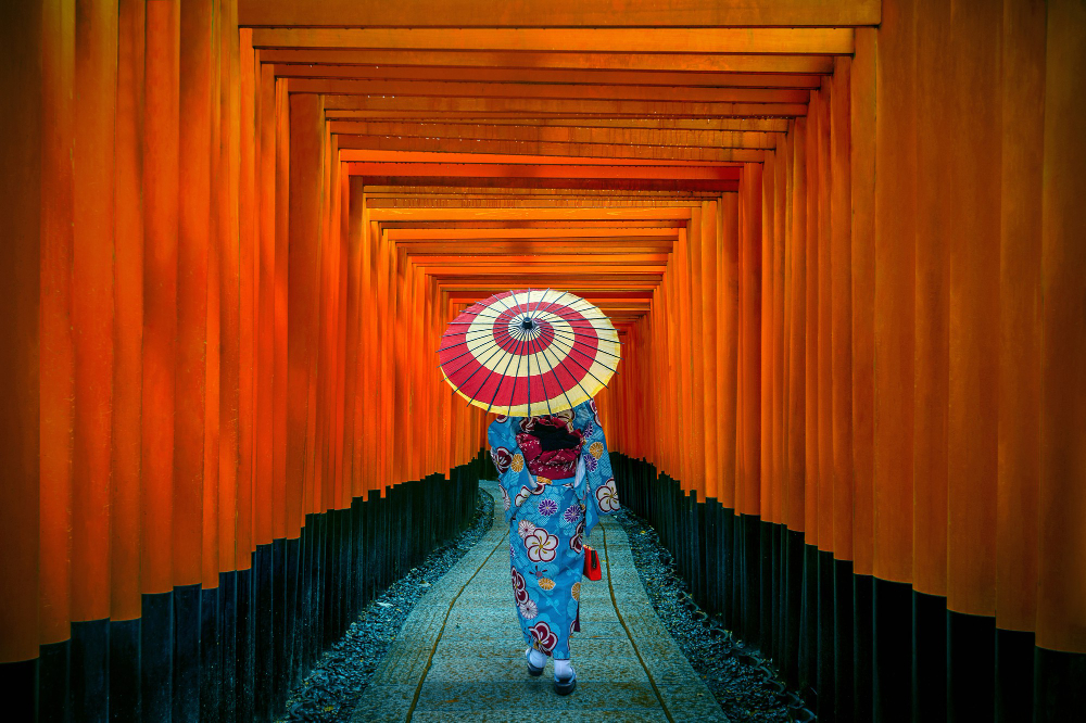 Immersive Travels: Unveiling the Rich Culture and Wonders of Japan